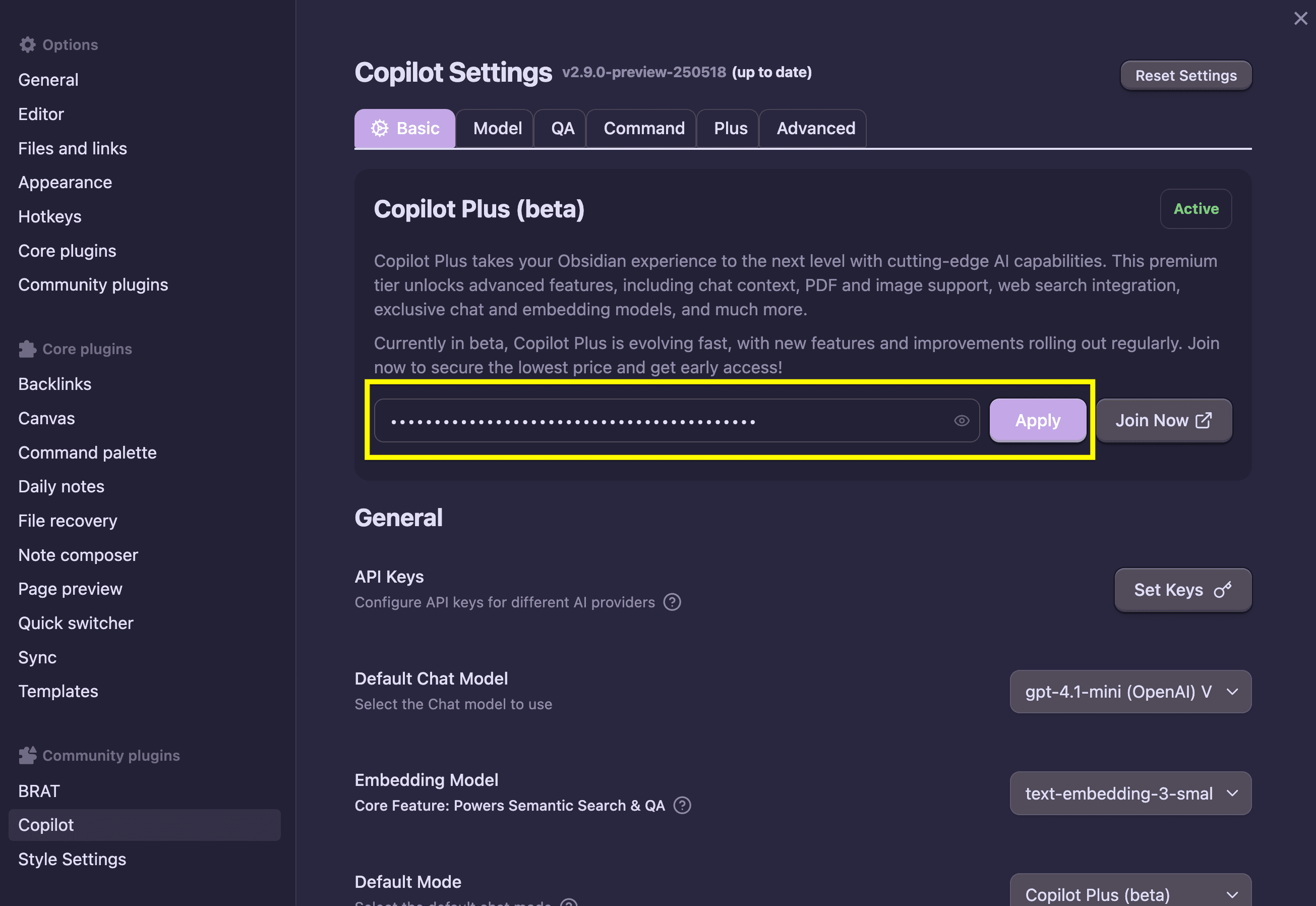 Apply Copilot License Key