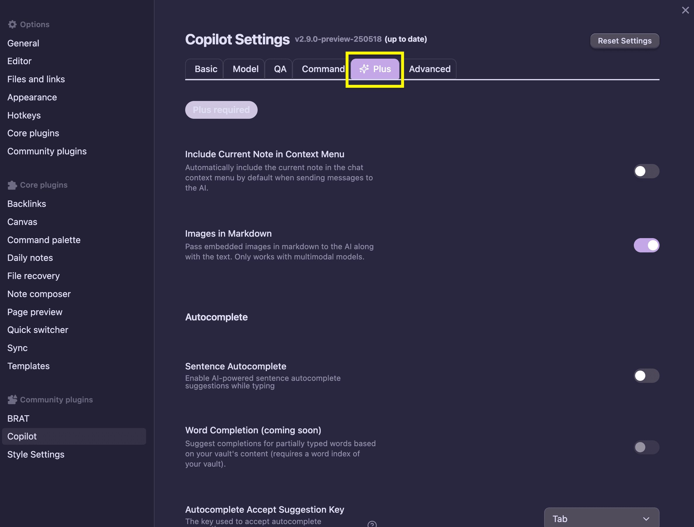 Copilot Plus Settings